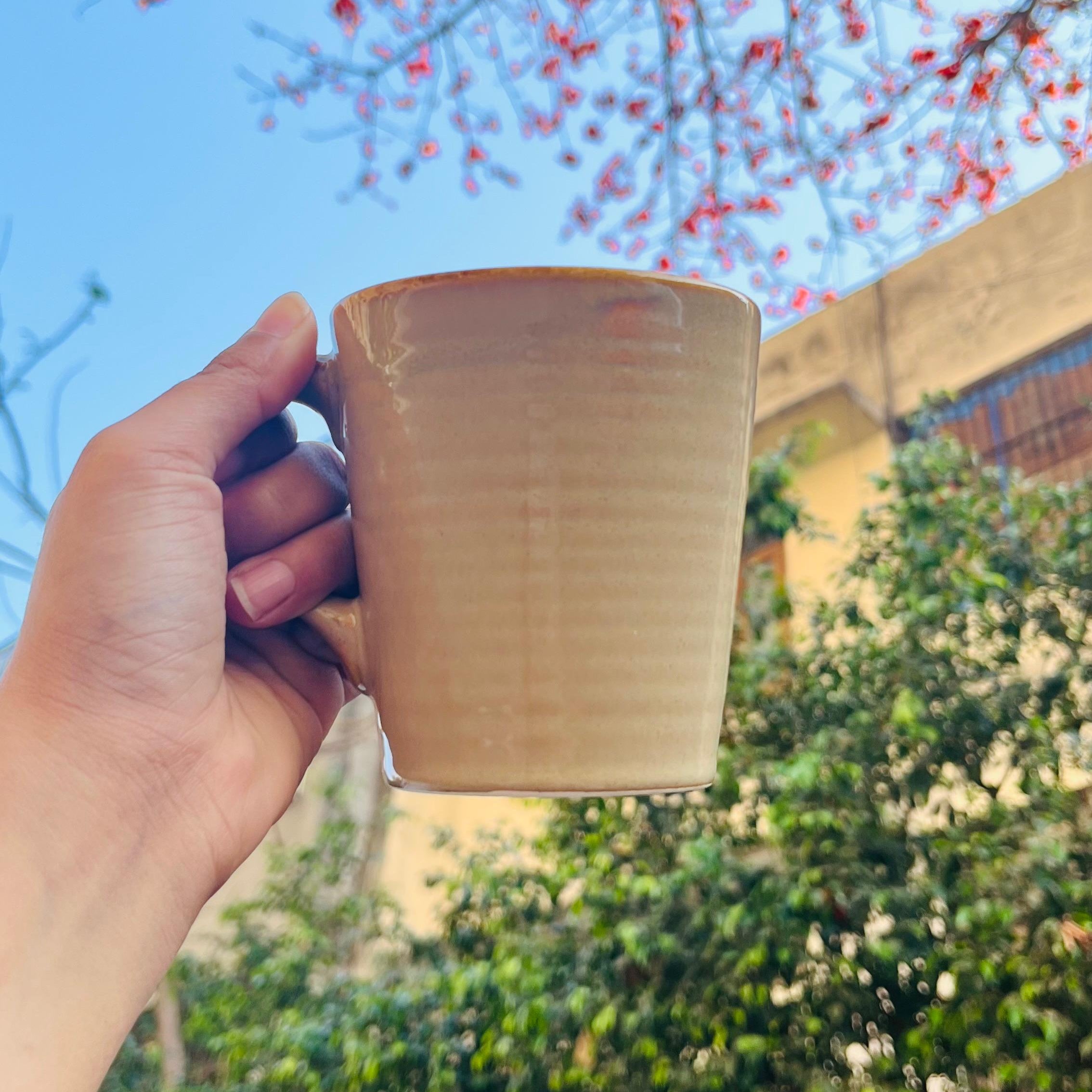 Java Mug - 250ML