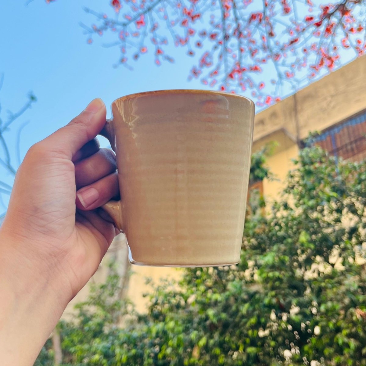Java Mug - 250ML