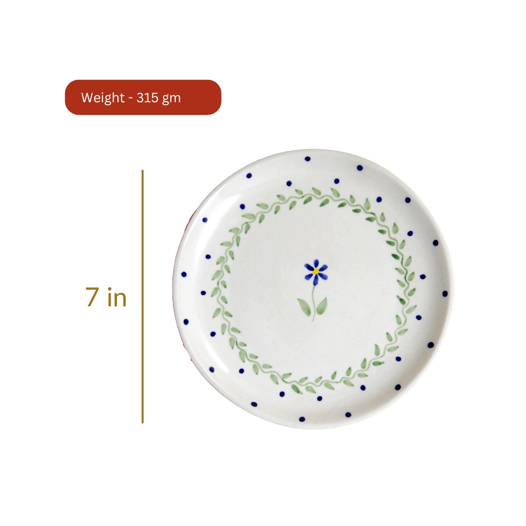 Spring Quarter Plate - 7 Inch